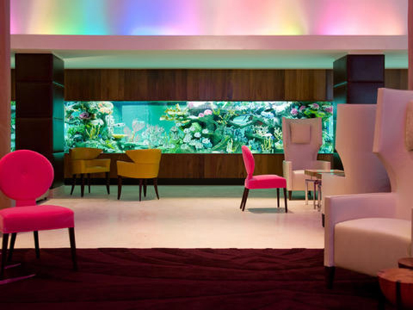 moderne-aquarium-idées-salon-grand-luxueux