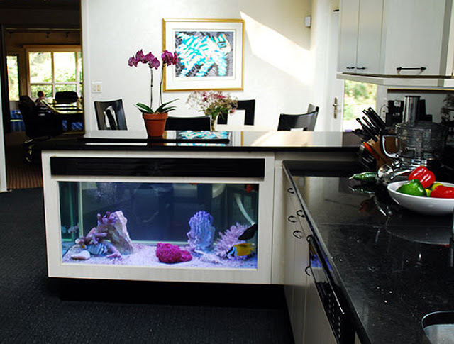 moderne-aquarium-idées-salon-intégré-comptoir