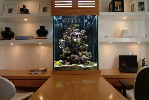 moderne-aquarium-idées-salon-sable-poissons