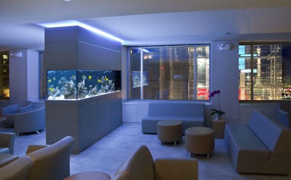 moderne-aquarium-idées-salon-éclairage-bleu-intégré