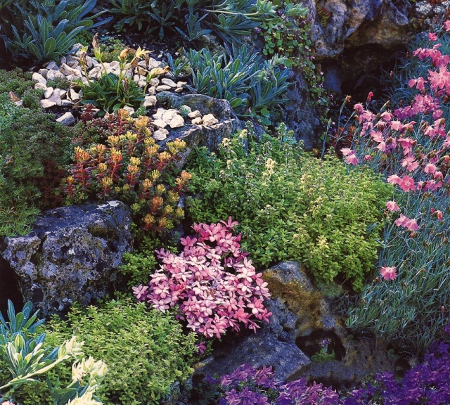 moderne-jardin-de-rocaille-couleurs-vives