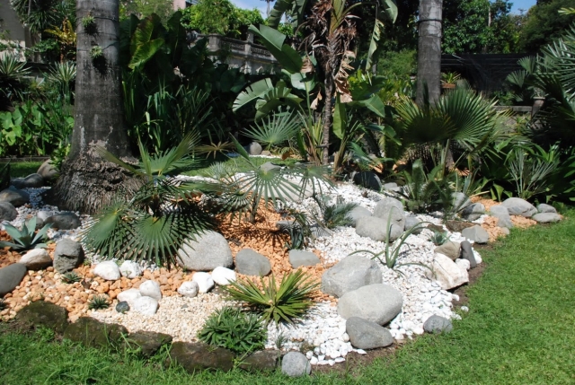 moderne jardin de rocaille palmier-grandes-pierres-galets-rivière