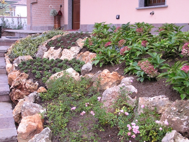 moderne jardin de rocaille rochers-plantes