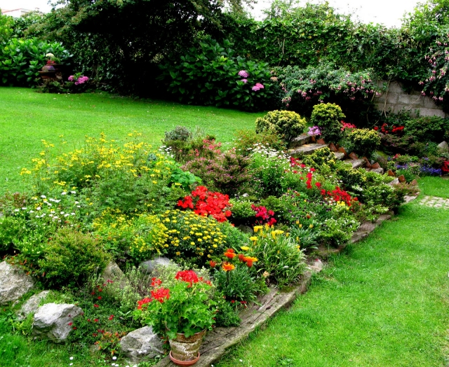 moderne jardin de rocaille végétation-abondante-couleurs-vives-herbe