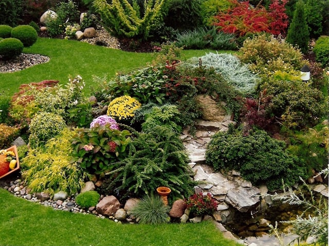moderne jardin de rocaille végétation-abondantes-herbes