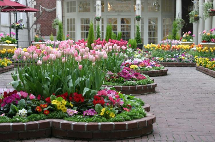 parreterre-fleurs-tulipes-multicolores-allée-pavés