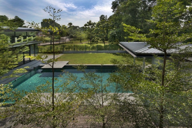 piscine-de-jardin-carrée-végétation-abondante