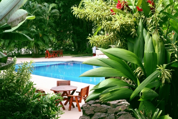 piscine-de-jardin-petite-fontaine-végétation-abondante