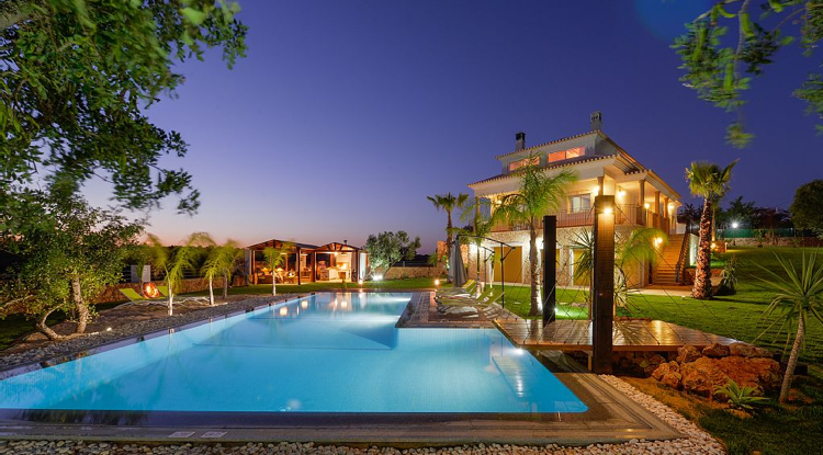 piscine de jardin -moderne-palmiers-jardin-tropical