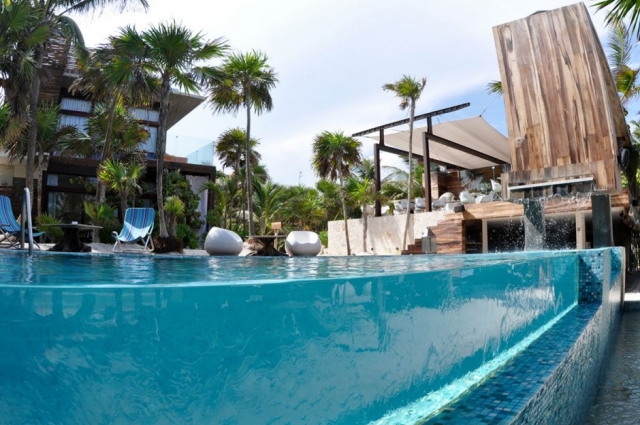 piscine de jardin palmier-pergola-petits-carreaux