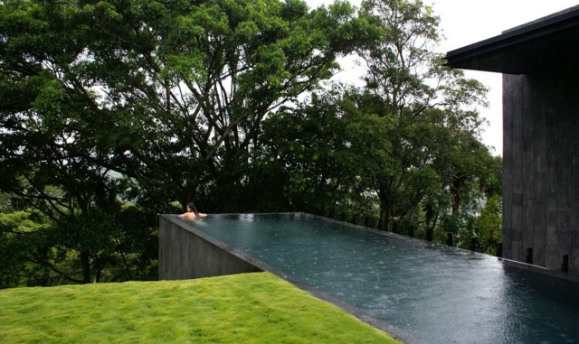 piscine-de-jardin-rectangulaire-arbres-herbe
