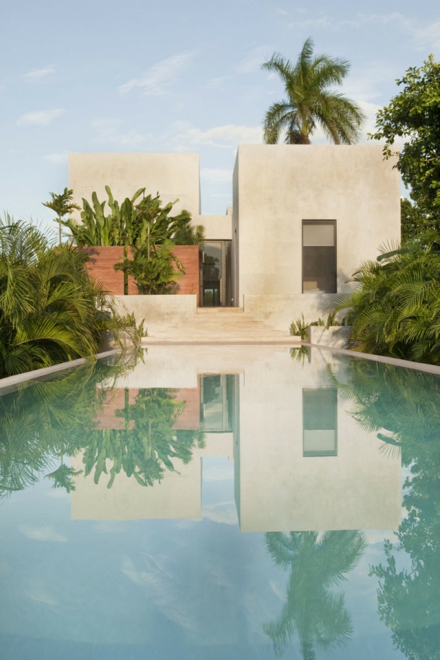 piscine-de-jardin-rectangle-palmiers-exotisme