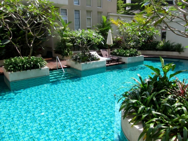 piscine-de-jardin-spacieux-végétation-abondante