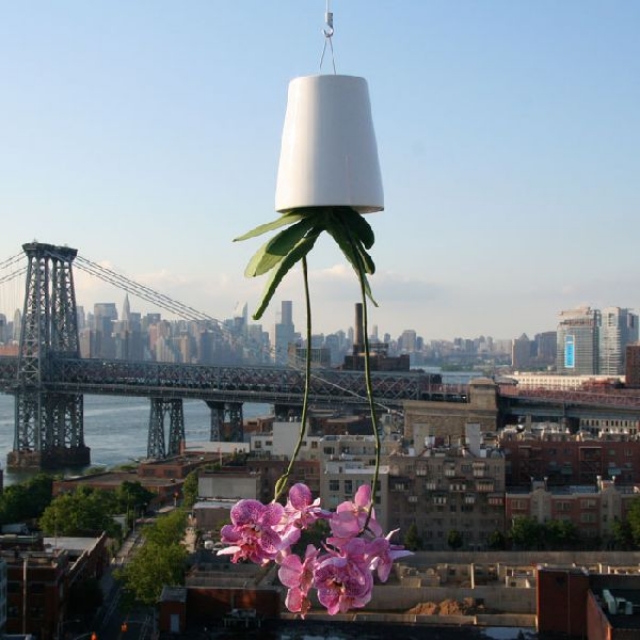 pot de fleurs de design unique-suspendu-envers-orchidée