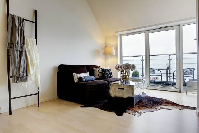 100-photos-meubles-scandinaves-design-unique-tapis-canapé-design-épuré