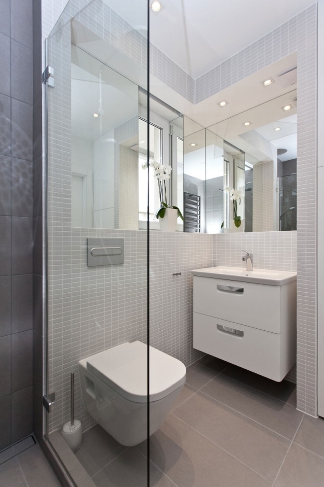 ameublement-exclusif-salle-bain-cabine-douche-cloison-verre-miroir