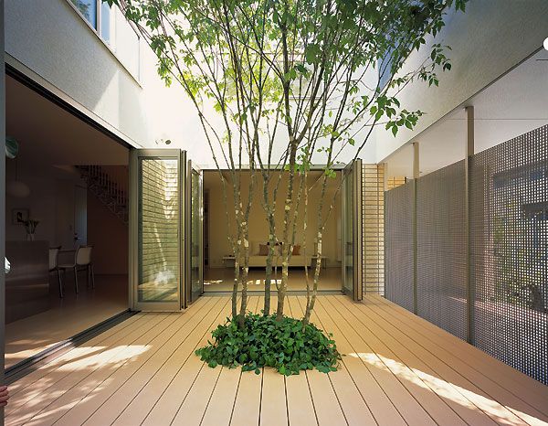 aspect-nouvel-extérieur-lame-terrasse-composite-arbres-imitation-bois