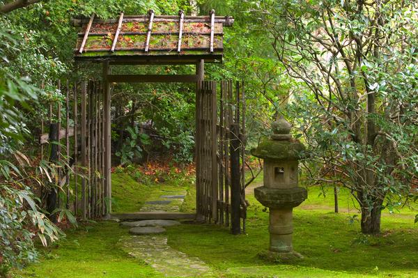 atmosphère-naturelle-jardin-zen-allée-pelouse-fraîche jardin zen