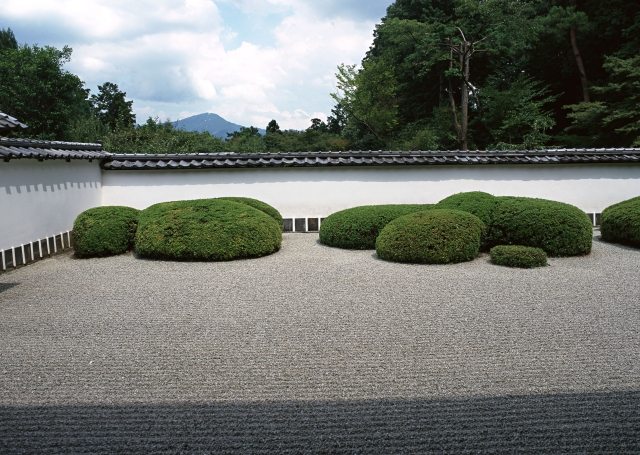 atmosphère-naturelle-jardin-zen-cailloux-gris-arbustes