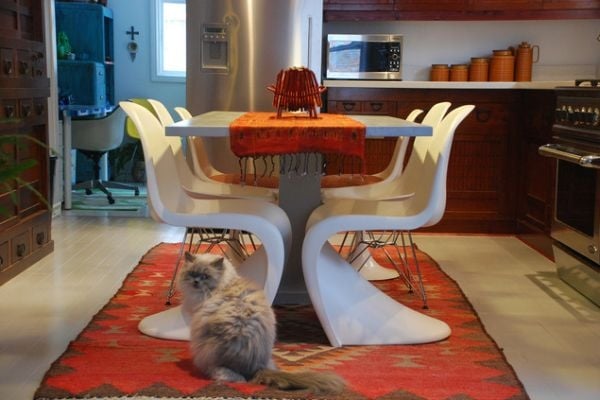 chaises Panton-blanches-cuisine-coin-repas-chat