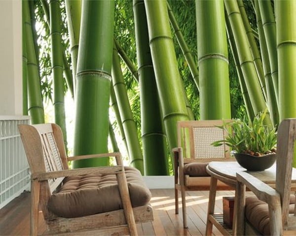 coin-salon-mobilier-bois-brut-papier-peints-bambou