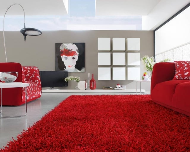 idée déco salon style-confort-canapé-tapis-fauteuil-rouge