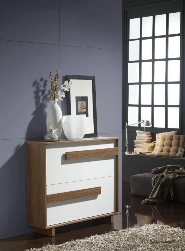 idée-originale-meuble-d'entrée-armoires-chaussures-blanc-bois
