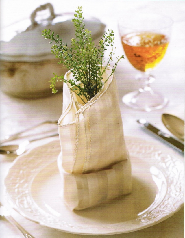 idée-pliage-serviette-paquet-vase-verdure
