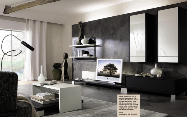 idées-déco-salon-style-contemporain-noir-blanc