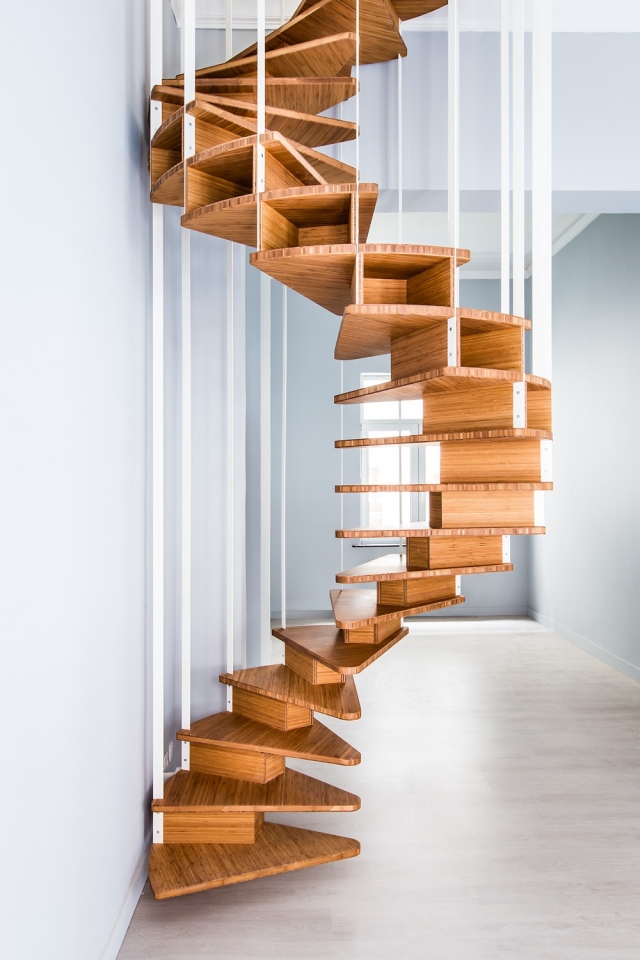 idées-escalier-colimaçon-bois-marches-triangulaires-rampe 