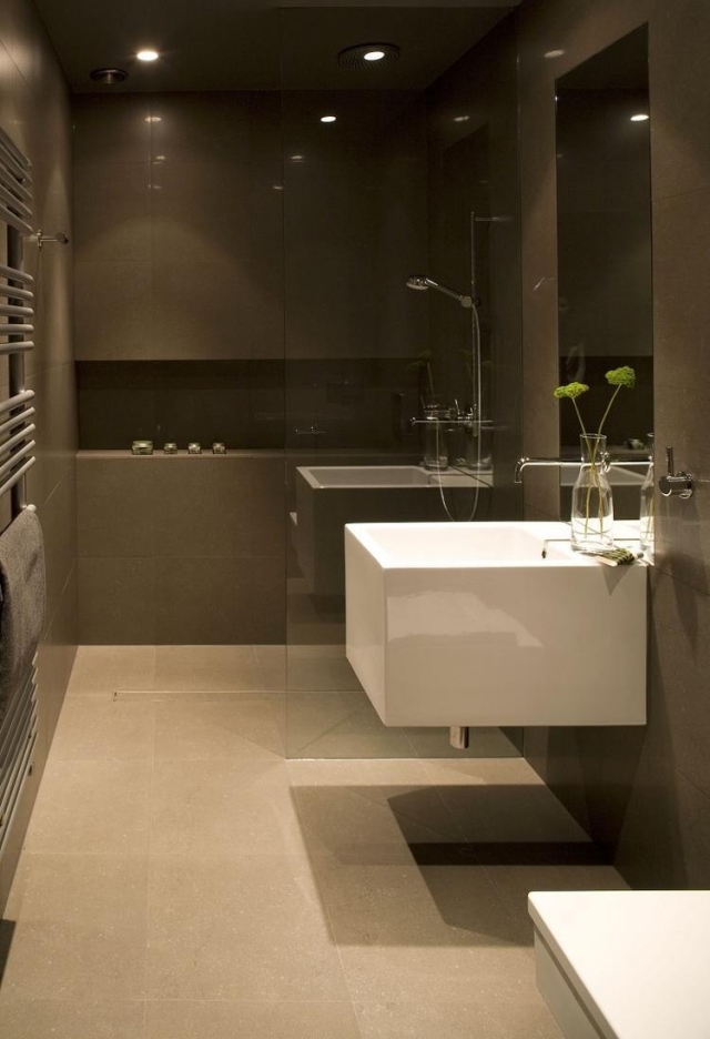 idées-pour-petite-salle-de-bain-évier-blanc-douche-forme-rectangulaire