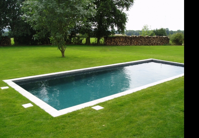 moderne-piscine-enterrée-rectangulaire-pelouse-arbre