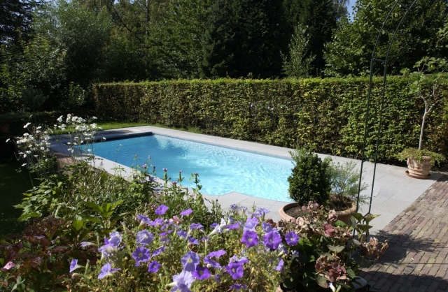 moderne piscine enterrée végétation-fleurs