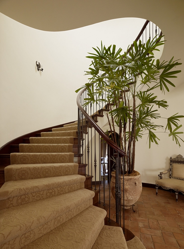 oasis-domicile-plantes-intérieur-palmier-exotique-escalier