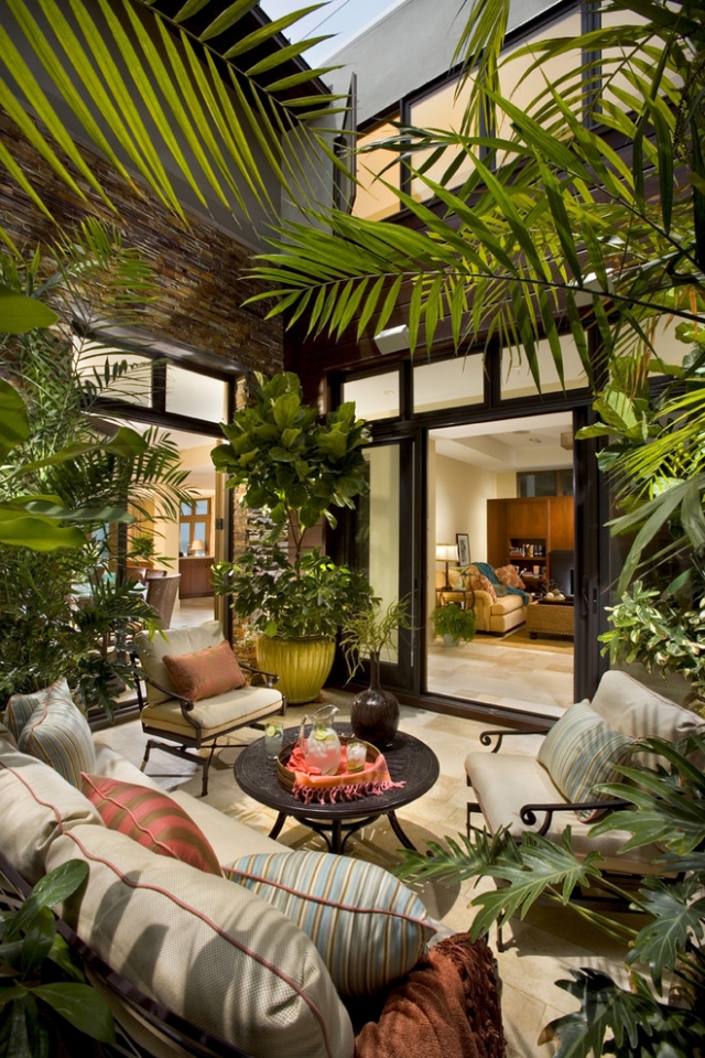 oasis-domicile-plantes-intérieur-vertes-palmiers-grands
