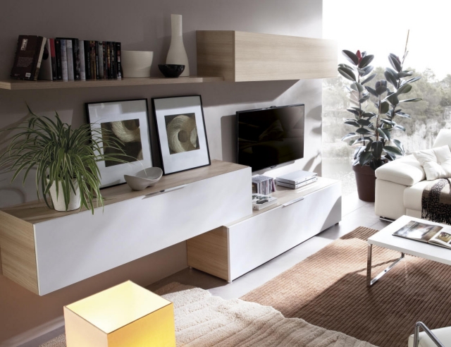 petit salon clair meuble TV moderne bois clair