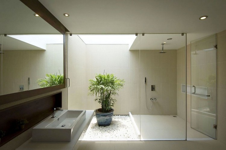 salle de bain déco zen -douche-italienne-plante-interieur-parois-verre