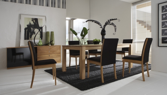 déco salle à manger idée-originale-table-rectangulaire-bois-chaises-plantes