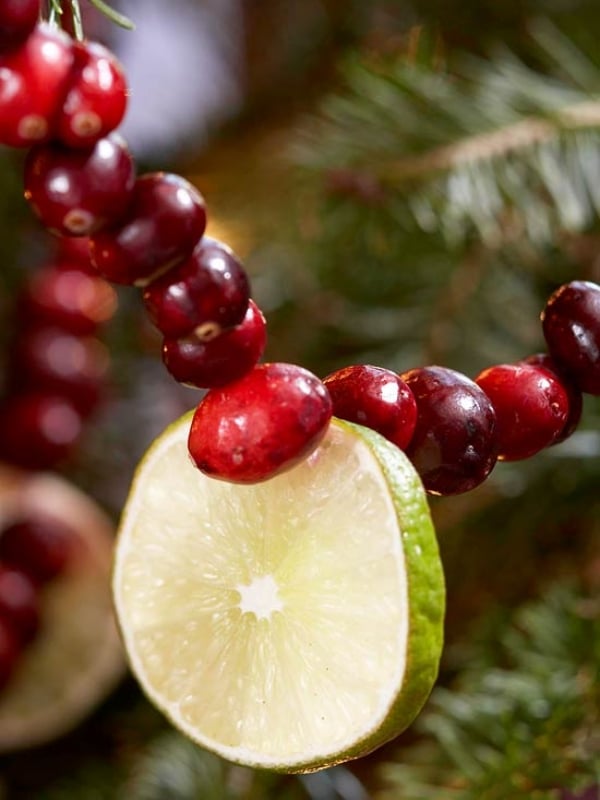 décoration-de-Noël-sapin-guirlandes-fruits