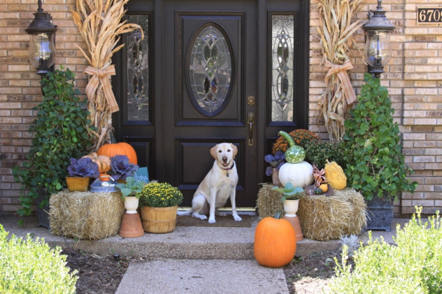 décoration-automnale-idée-originale-porte-entrée-citrouilles-bailles-pailles