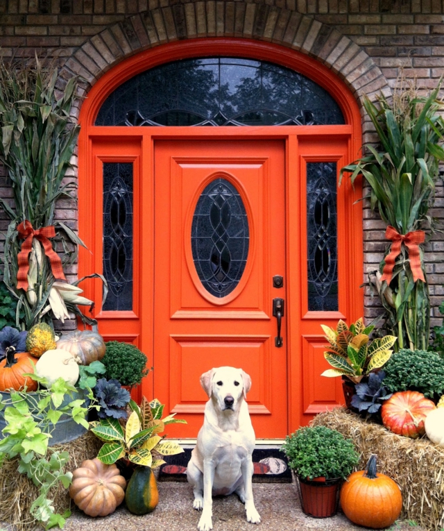 décoration-automnale-idée-originale-porte-entrée-citrouilles-plantes