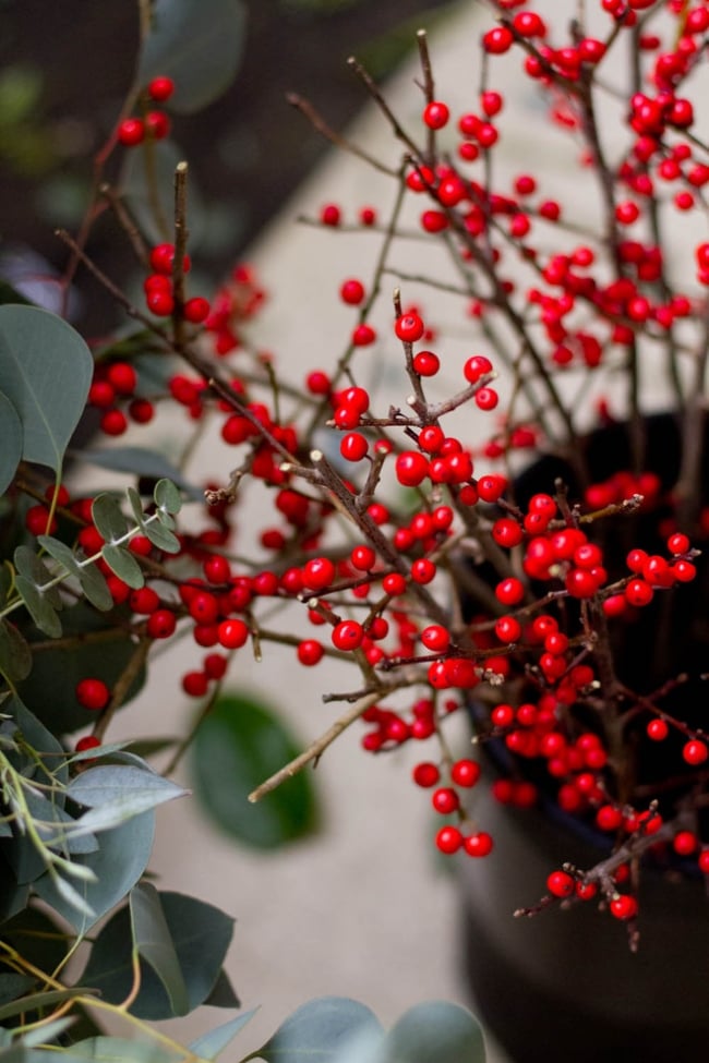 fabriquer-couronne-Noël-naturelle-branches-baies-rouges couronne de Noël
