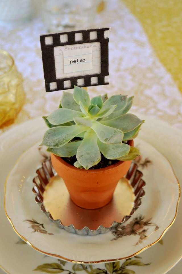 marque-place-mariage-plante-succulente-pot