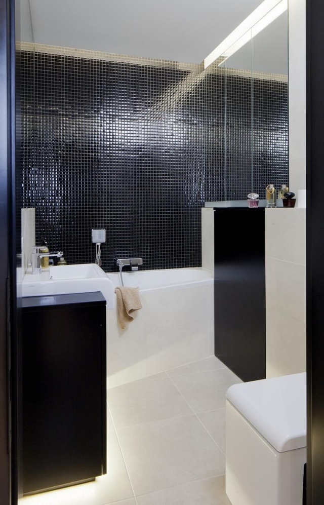 petite-salle-bain-contemporaine-mosaïque-murale-noire