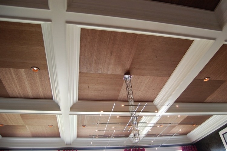 Plafond moderne dans la chambre à coucher et le salon