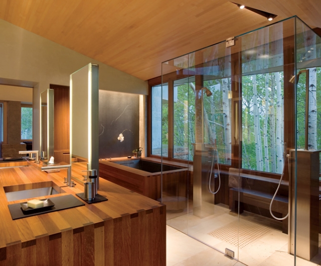salle-de-bains-en-bois-idée-originale-lavabo-douche-paroi-transparent