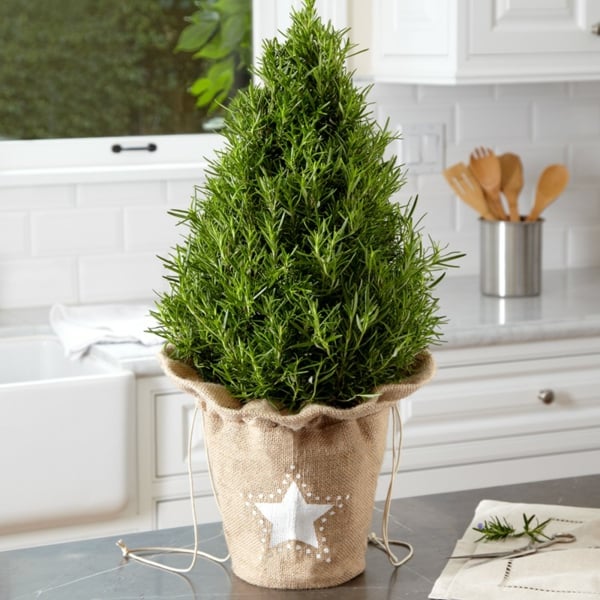 sapin-Noël-pot-décoration-maison-jardin-étoile-blanche-sac-jute sapin de Noël en pot