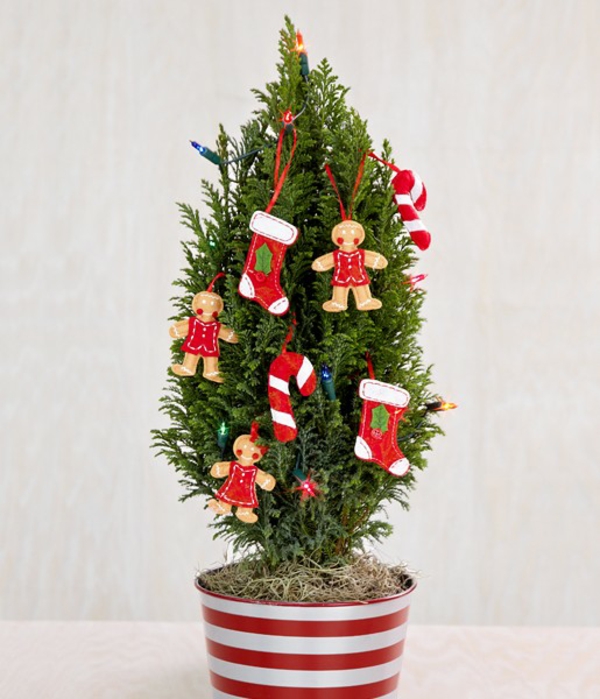 sapin-Noël-pot-décoration-maison-jardin-canne-sucre sapin de Noël en pot