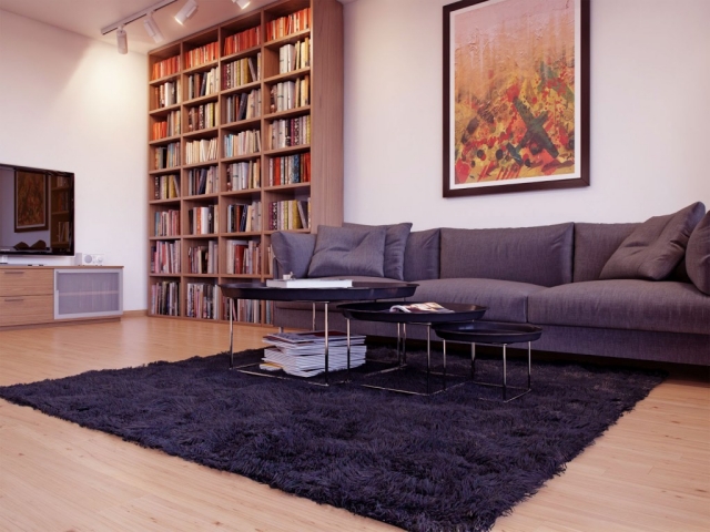 tapis-shaggy-salon-moderne-élégant-noir-poils-longs-canapé-noir-bibliothèque