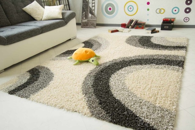  Tapis  shaggy dans le salon un accessoire moderne et l gant